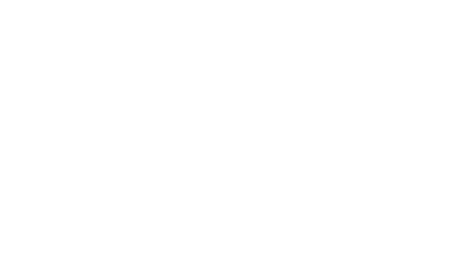 Skid Steer Loader